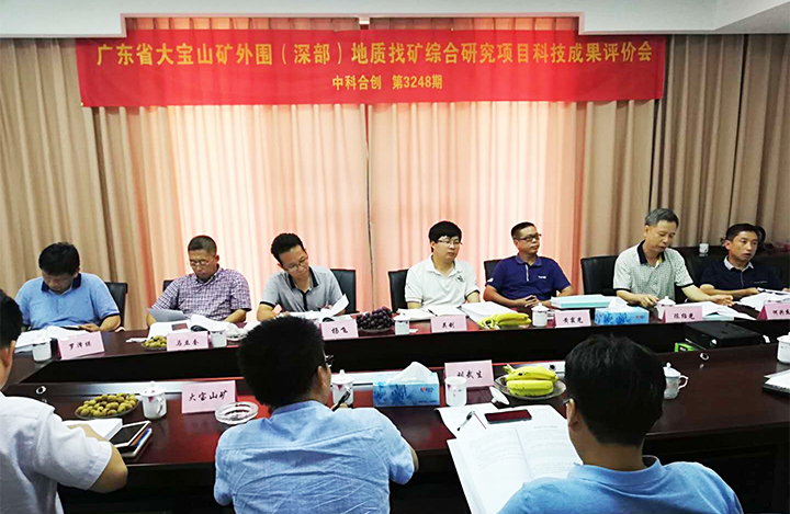 广东省大宝山矿外围（深部）地质找矿综合研究 anli.jpg